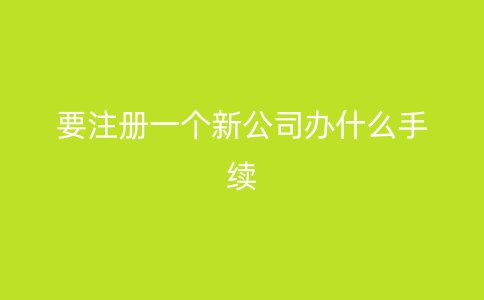要注册一个新公司办什么手续
